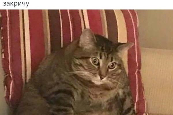 Кракен рабочая ссылка